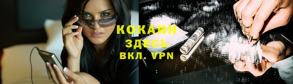 соль ск Абаза