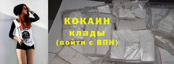 соль ск Абаза